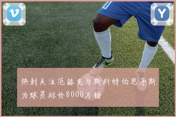 热刺关注范赫克与斯科特伯恩茅斯为球员标价8000万镑