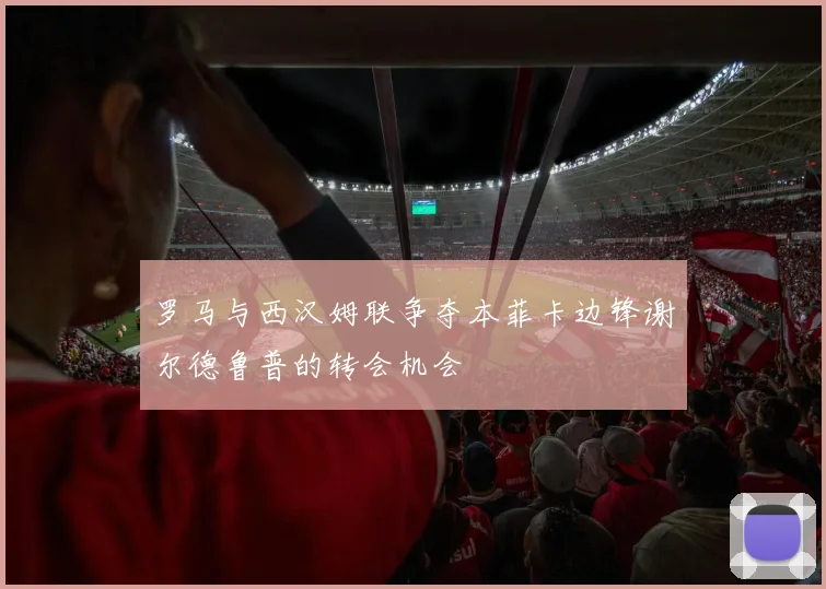 罗马与西汉姆联争夺本菲卡边锋谢尔德鲁普的转会机会